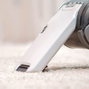 Carpet Cleaning