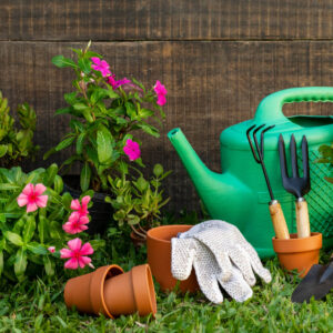 Garden Services