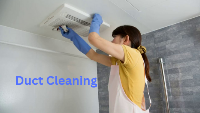 Dust, pollen, and other pollutants can build up in your ducts and get circulated throughout your home.